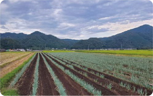 八頭ふなおか農場って、どんなところ?