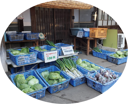 ココで買える!八頭ふなおか野菜